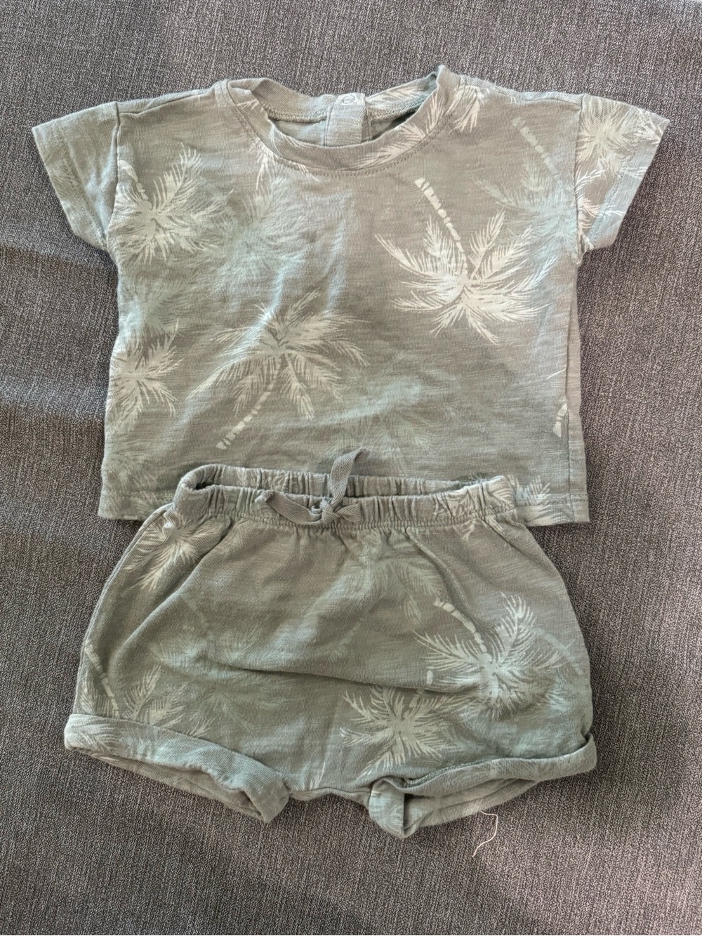 Baby Palm-Print Short Set in Light Sage
